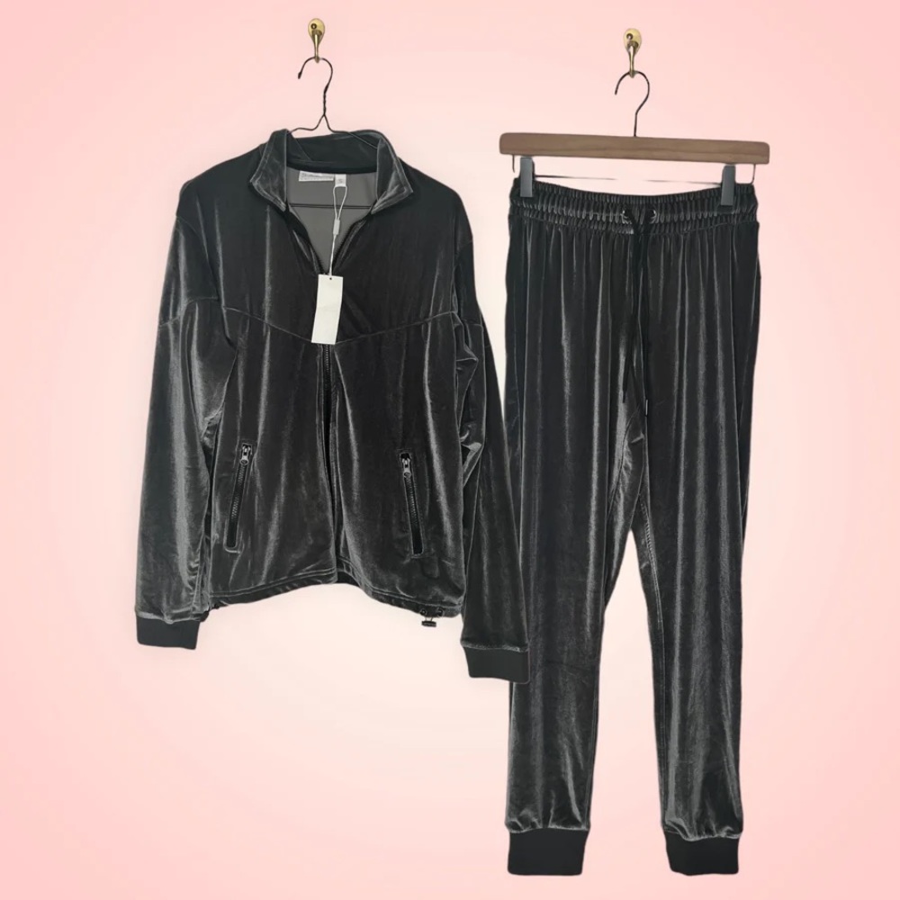 Nwt Saski gray velvet jogger set (Sz S)